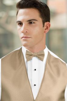 Synergy Golden Bow Tie