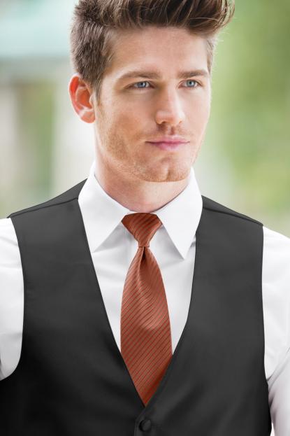 Striped Expressions Cinnamon Windsor Tie